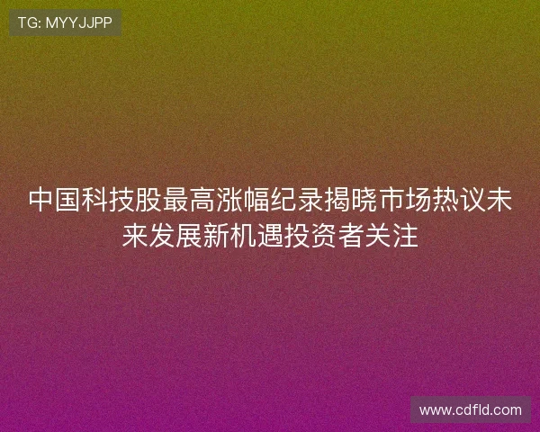 中国科技股最高涨幅纪录揭晓市场热议未来发展新机遇投资者关注